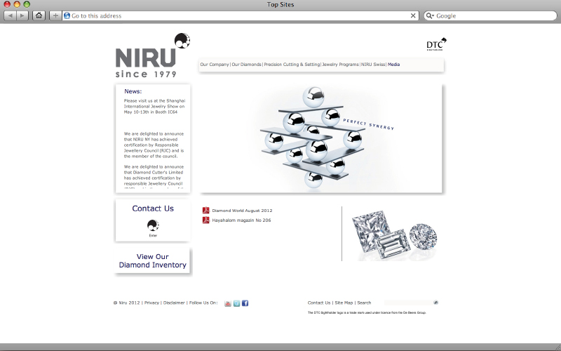 בניית אתרי אינטרנט - Niru Diamonds